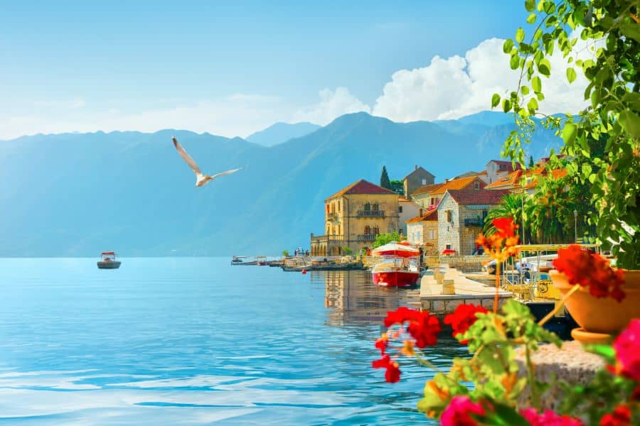 Springtime Road Trips: Where to See Montenegro in Full Bloom